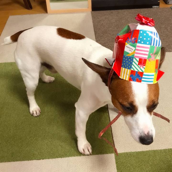 00612093 79cc 4afb 8352 ea97be6dbc34