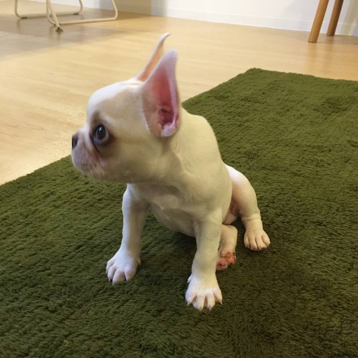 0061649d 7804 419d a5c8 c6810605caa8