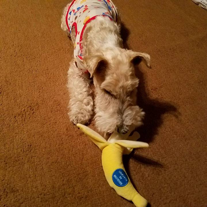 0061762c 5d55 43b7 a110 3a862051f782