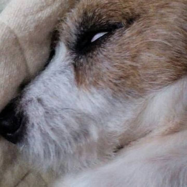 00618014 88af 4254 994f b4ed30cdf525