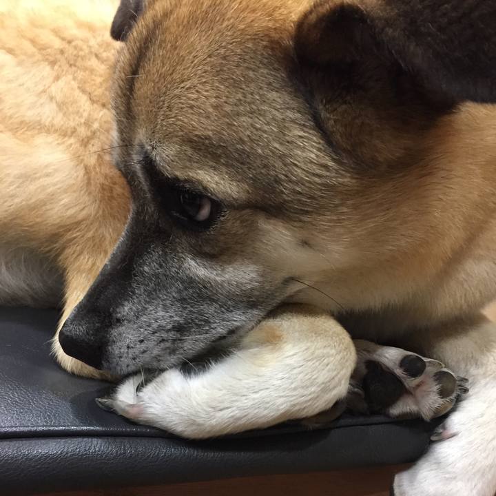 00618484 e383 477a ba9c dd8da91ec2df