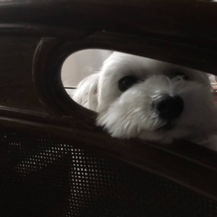 006325c6 b397 479a 8319 9d3b890a0ddb