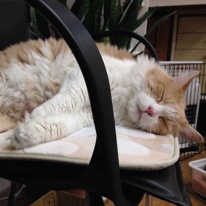 00640bb3 6ee8 4f83 b053 5179768726fb