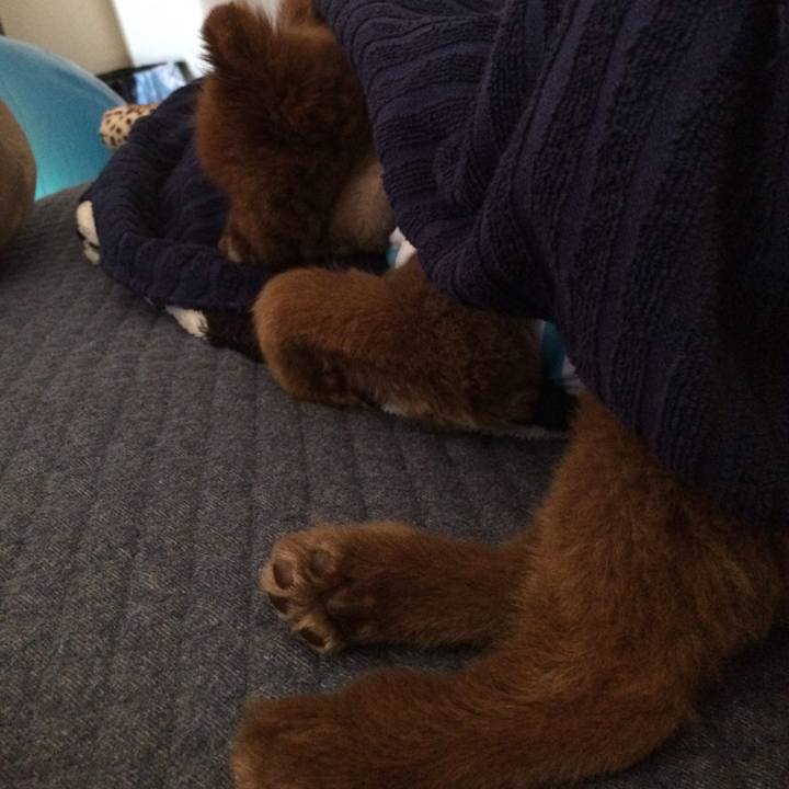 0064ce6a a0b4 4c89 bac8 db8026fd4404