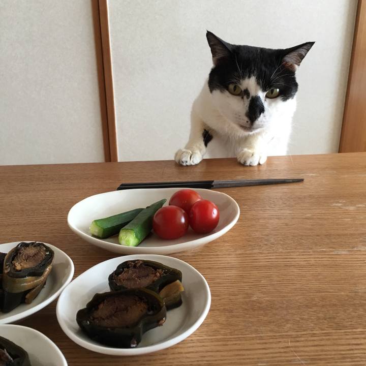 0064f183 aacd 42eb acfa e5fa6f610c75