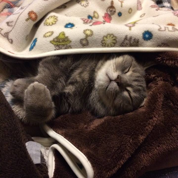 0065b407 641f 429a bdde 825d3b222aad