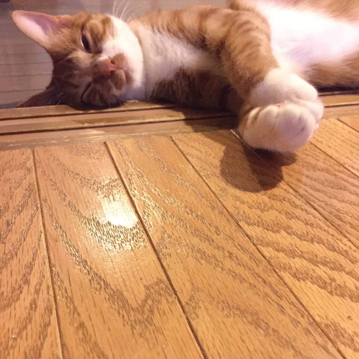 0065be7d 8374 4833 9c7e 3f6394c2b918