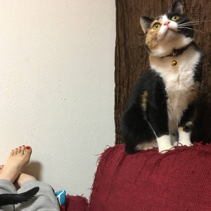 006627d3 0636 4f01 a753 b3cd605d1540