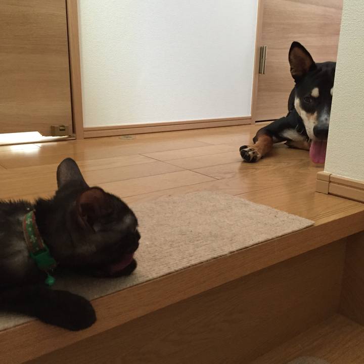 0066b30c 5dc3 47c7 b1e1 c2669d8d80aa