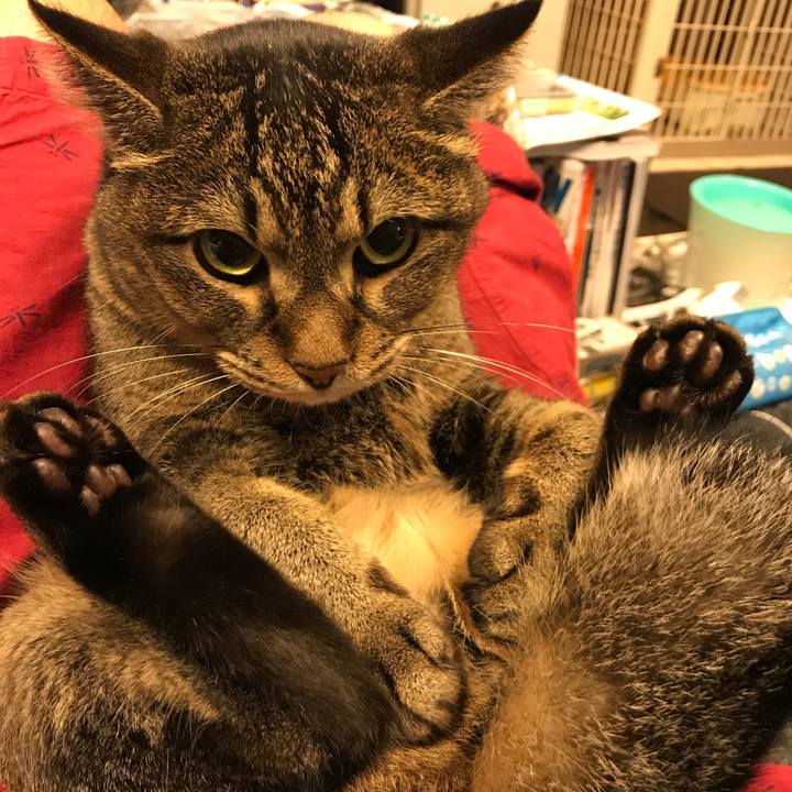 0067a5e2 438b 4f9d b9ab e418d5b60951