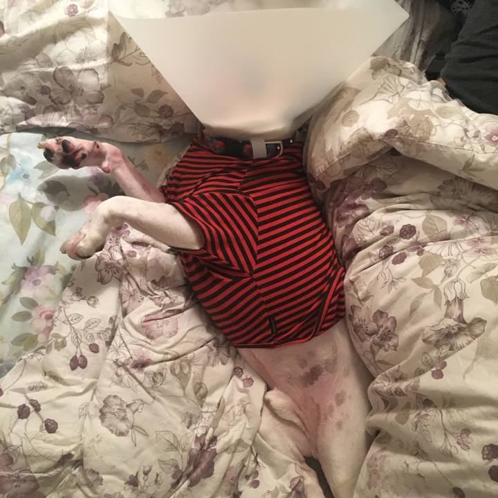 0067affc 2e9c 4f3e a171 69ca674eda09