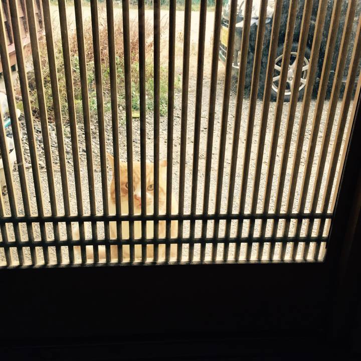 006823a3 efe0 4206 a22d 4cfe1e681acb