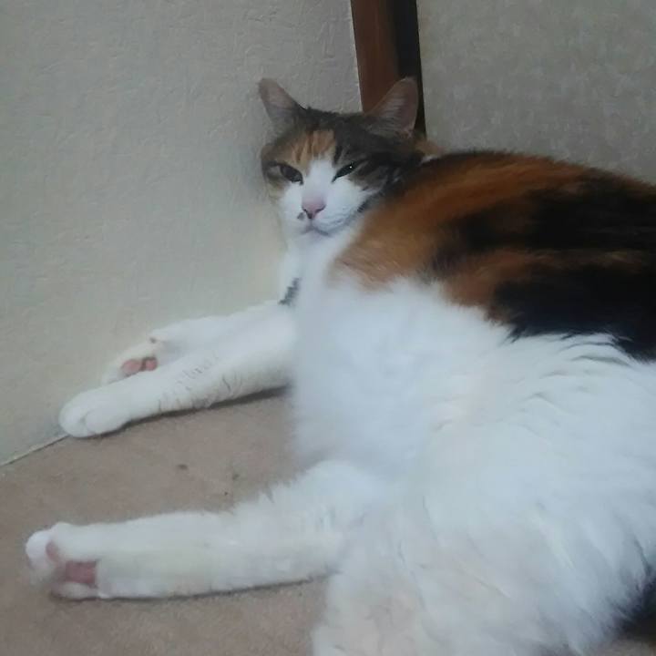 00682d8c 003e 4a13 a0d5 59068390d771