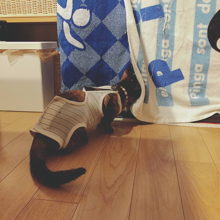 0068643a 00d6 4abe 9d9b af82f9e9442f