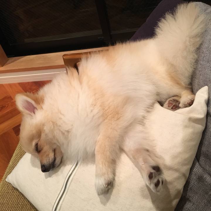 00689628 ac11 42f1 a25e 1099c3429875