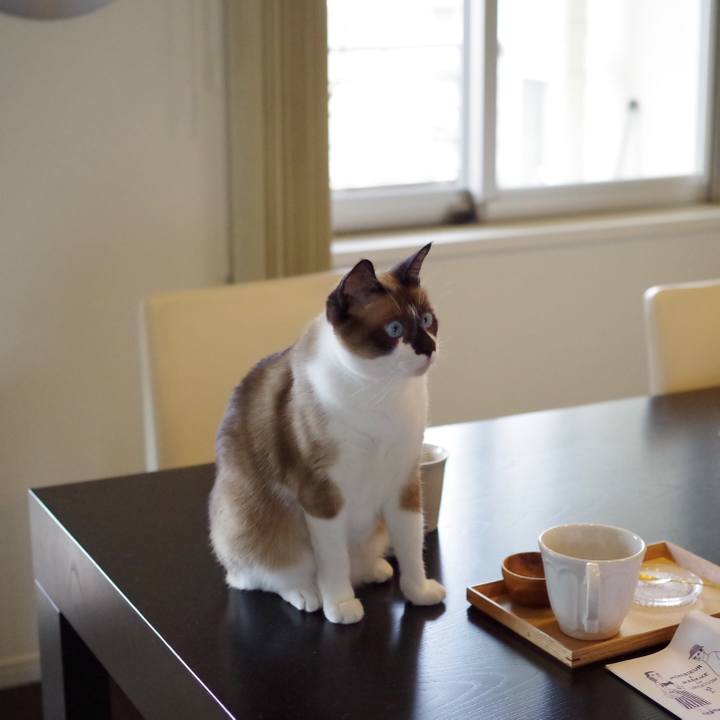 0068e682 d502 4dee 9256 840f5d8ed8d3