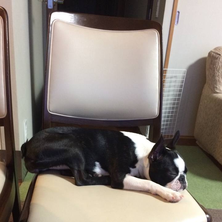 006912f2 7cac 4de1 b474 7dce654d88ca