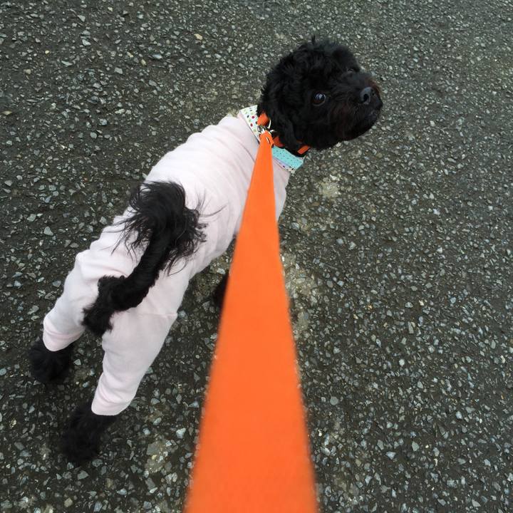 0069b491 d47d 4da9 888a 57b2ddc93960