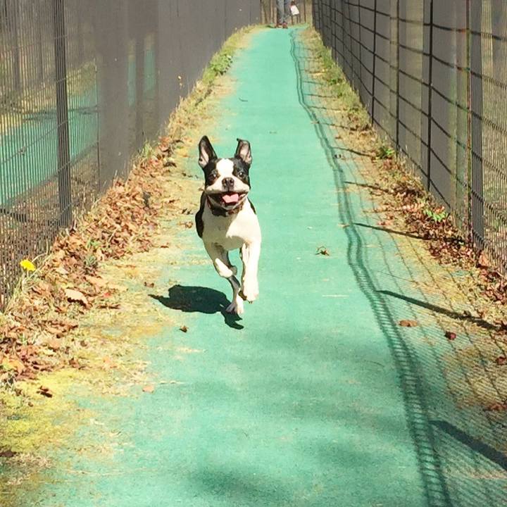 006a26a8 682e 42c5 921d f36dc1abc546