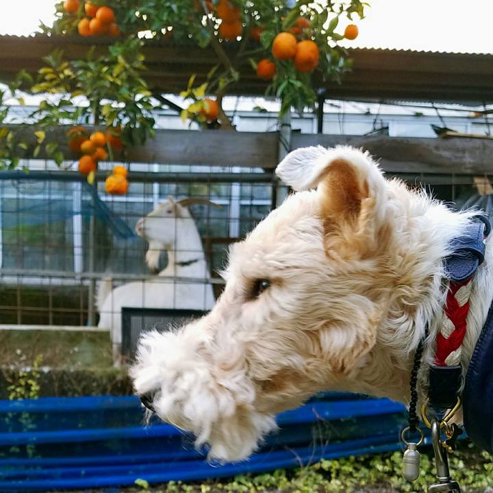 006a4157 6865 4b6d a7cf c42dd6caabb7