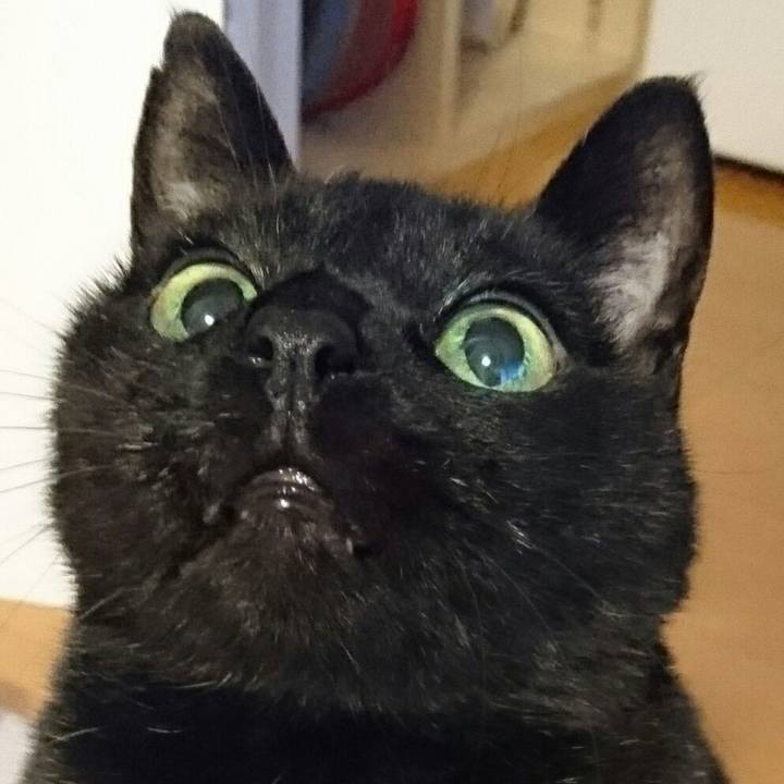 006a5e0a 6e9f 416b b0d9 93460401021b