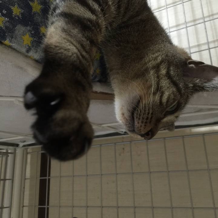 006aa2e6 d252 4a2f bf18 6eea1ed4c993