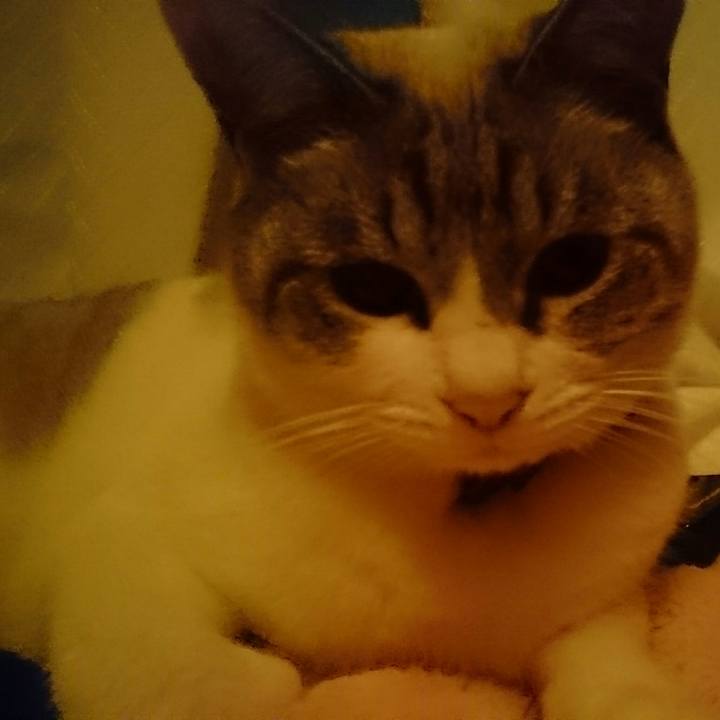 006b1a82 ecc4 4ab8 8ede 05d3c22c935b