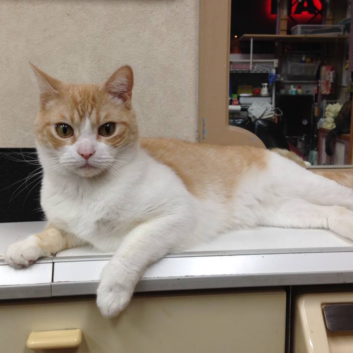 006b24f3 9274 4a78 9716 03c5d30724dd