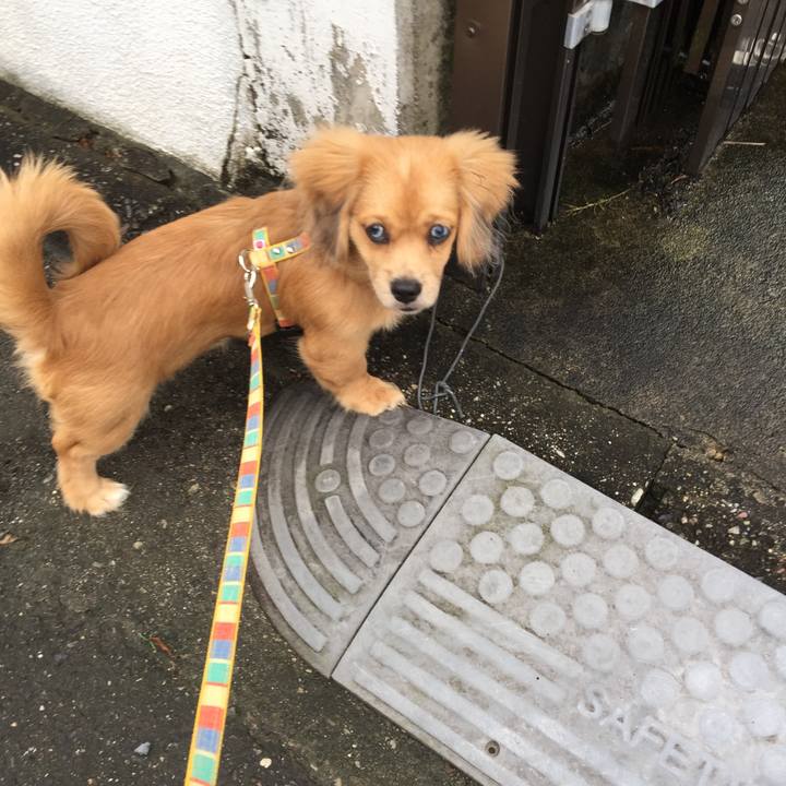 006b50db 3302 4ba0 9ea4 516f4f8e5fd9