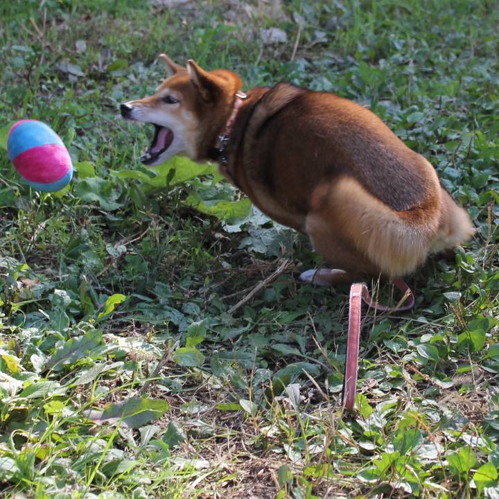 006b6e36 004a 4de0 bec9 fd36e7d8546b