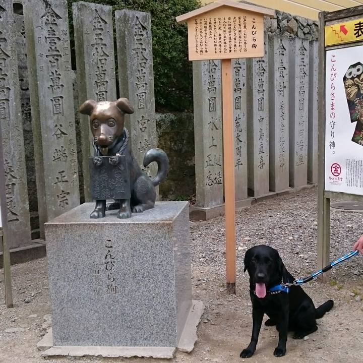 006c41a0 d5c0 4454 8869 b78d01d459ef