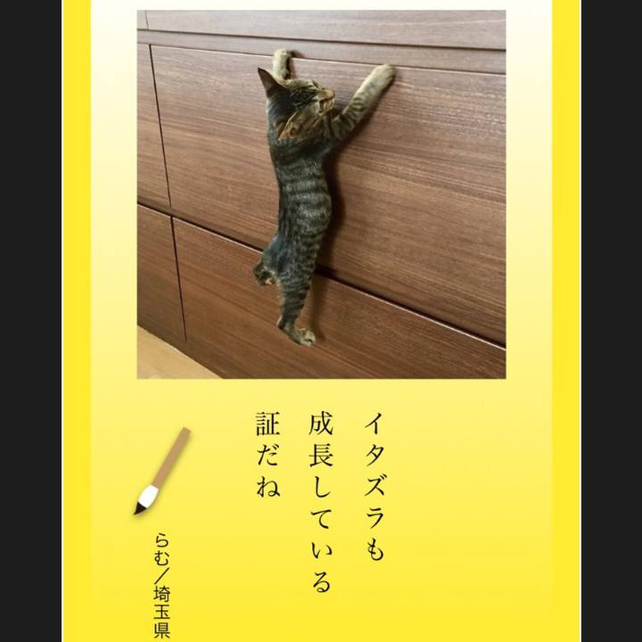 006c879a 34bd 40a6 a95a 7a165ed34cd8