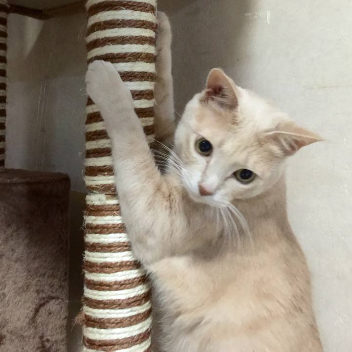 006cebb3 360c 4c26 9f57 b42943930019