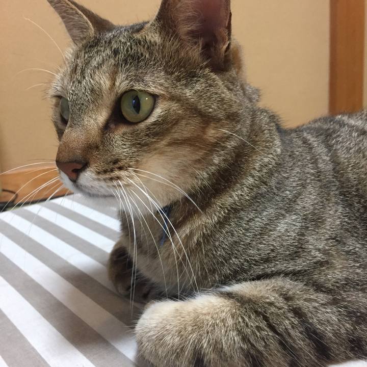 006cfeb5 b462 48fa be5c 365019a8f50d