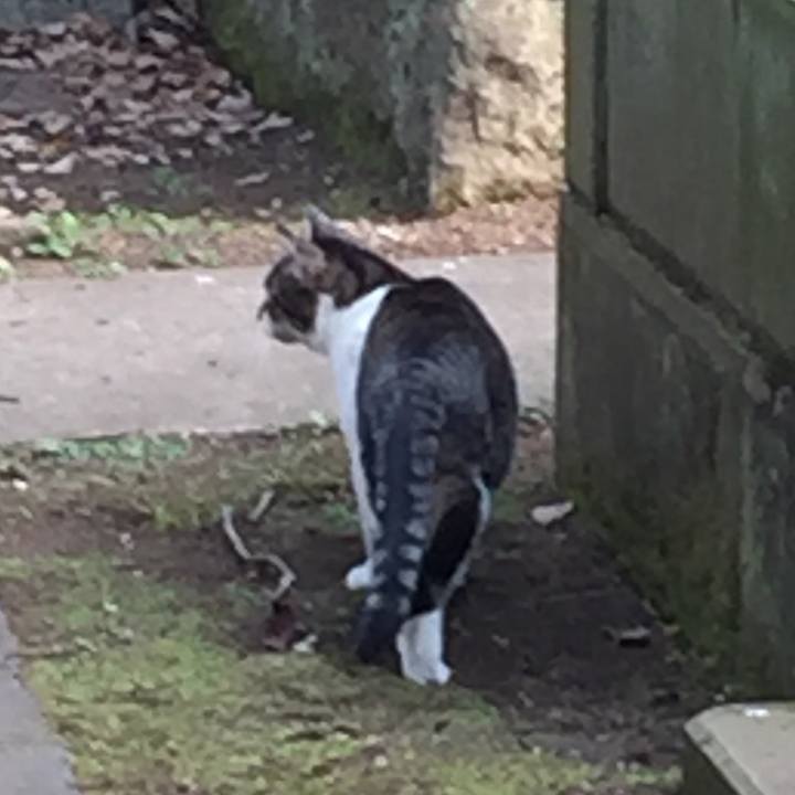 006d106b eb63 493d 831f d0e5e4616e0a