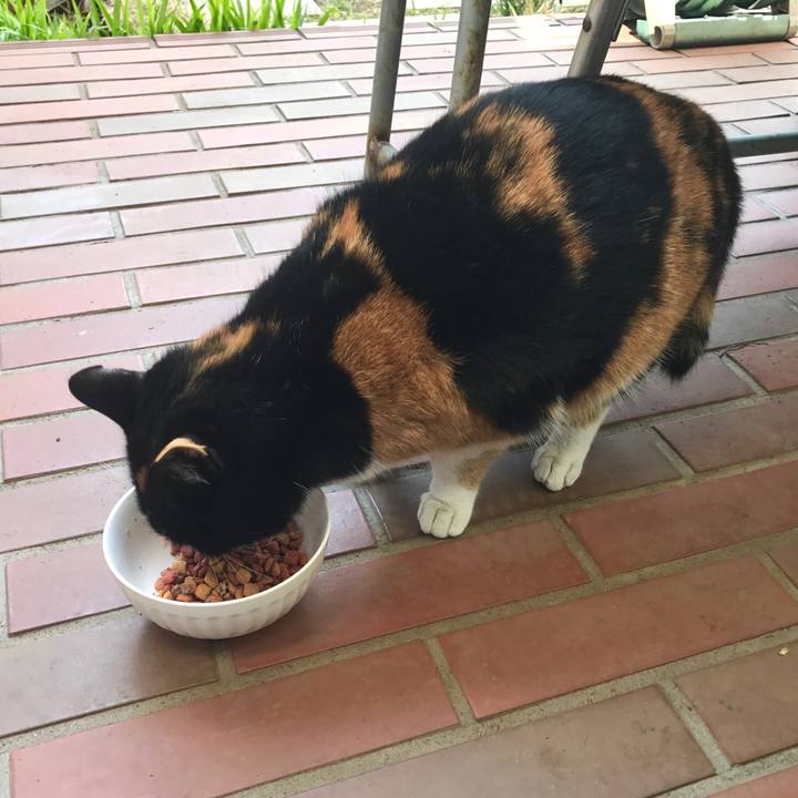 006d5d12 ef4e 49ef 8142 ac0eb59e8901