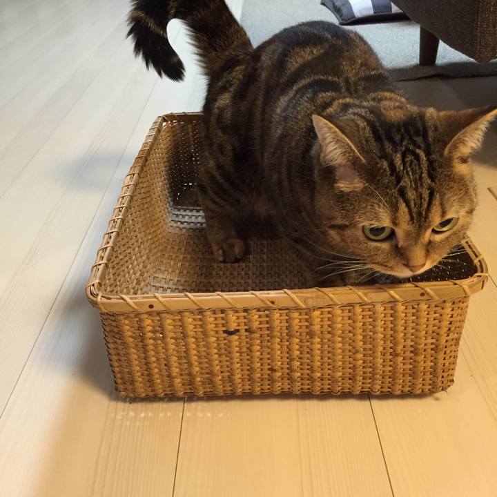 006d70bf 8beb 4e07 8de0 cebb64111876