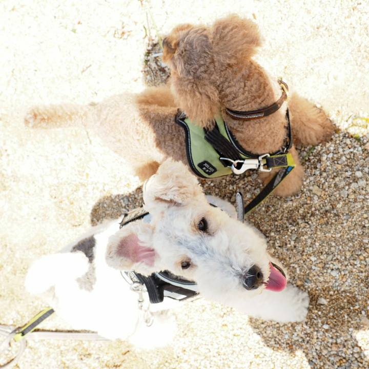 006e9704 4974 423f 8d8d f36de2bfd1fd