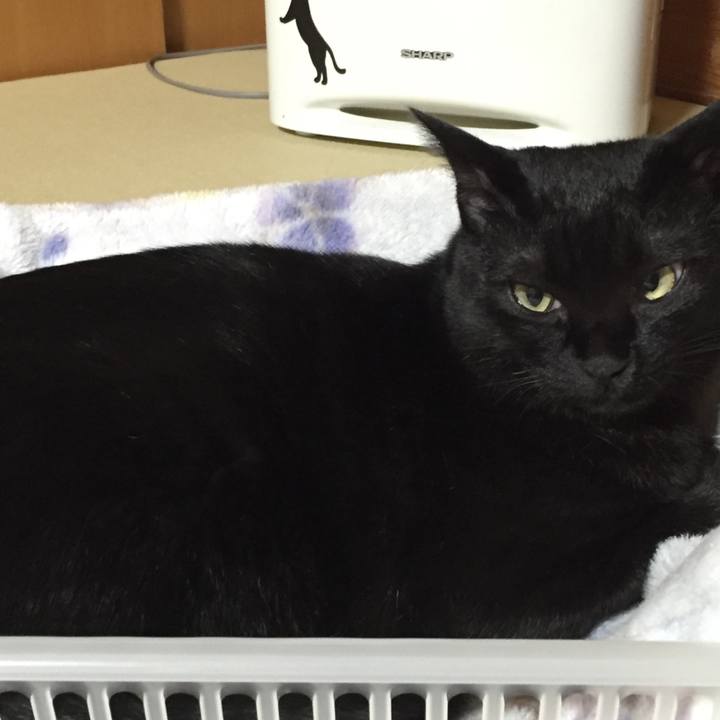 006f5a9f 0f1b 43b7 9136 ee6b34b91306