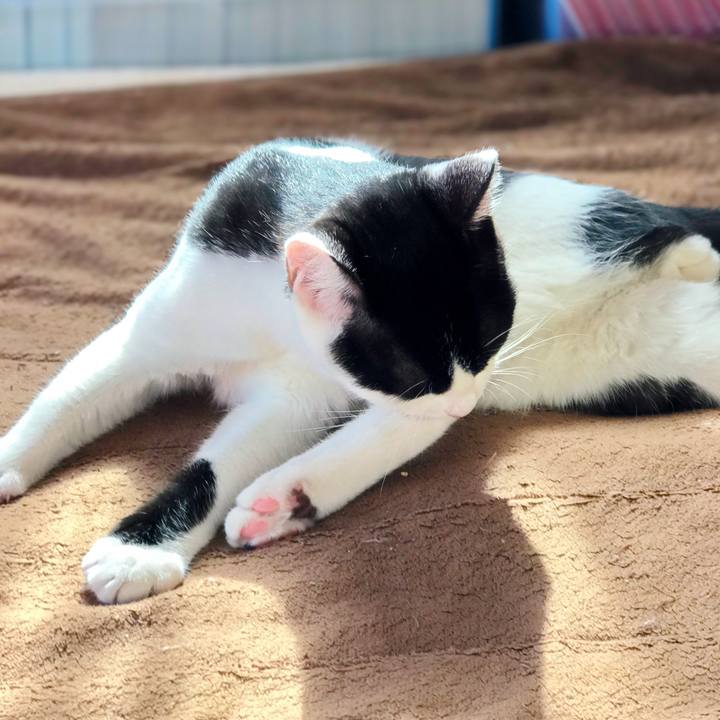 006f615b bde2 4b6b 9c26 219af5109538