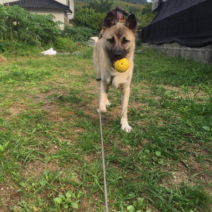 006f7f30 6240 40cf 9aa1 969d9144148c