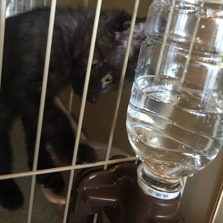 006ff27e 336a 4bdb 8106 19cca1b2a1e5