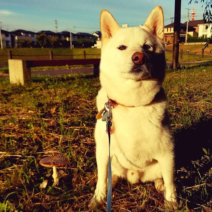 007021a2 c9b5 45a0 99ee def0da1548ec