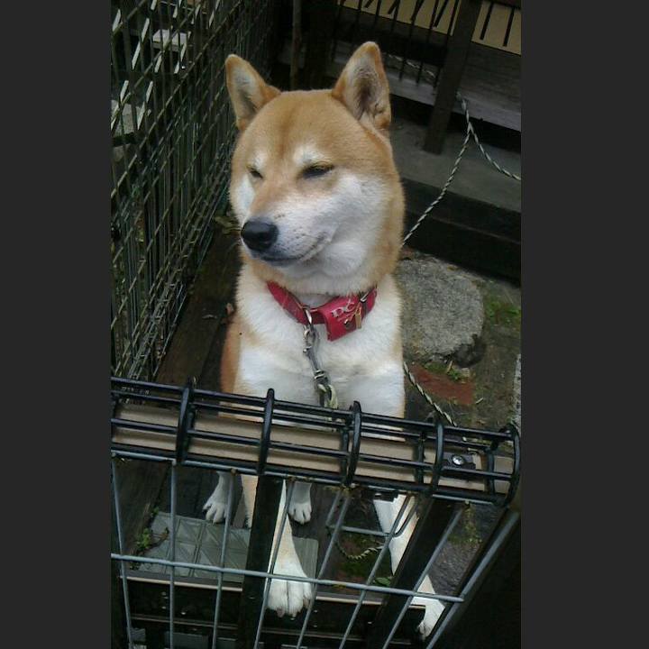 0070cb15 22f2 4117 849d 5716276359ba