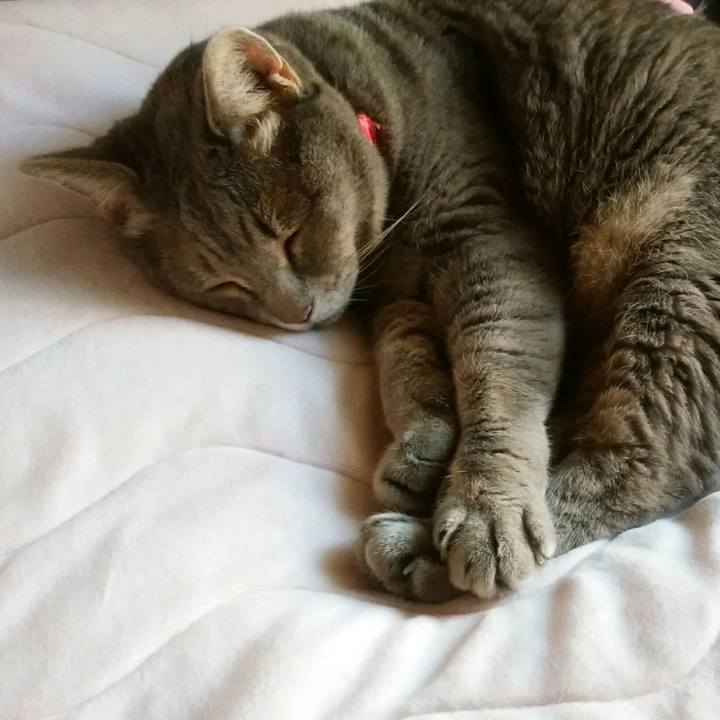 0071450a 89eb 4428 8611 e0cf64a93757