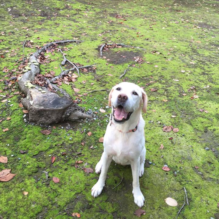 00714b81 709f 405b 8934 1368a99ac5e9