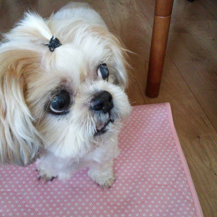 00715929 093a 410c 8604 75693e452fcd