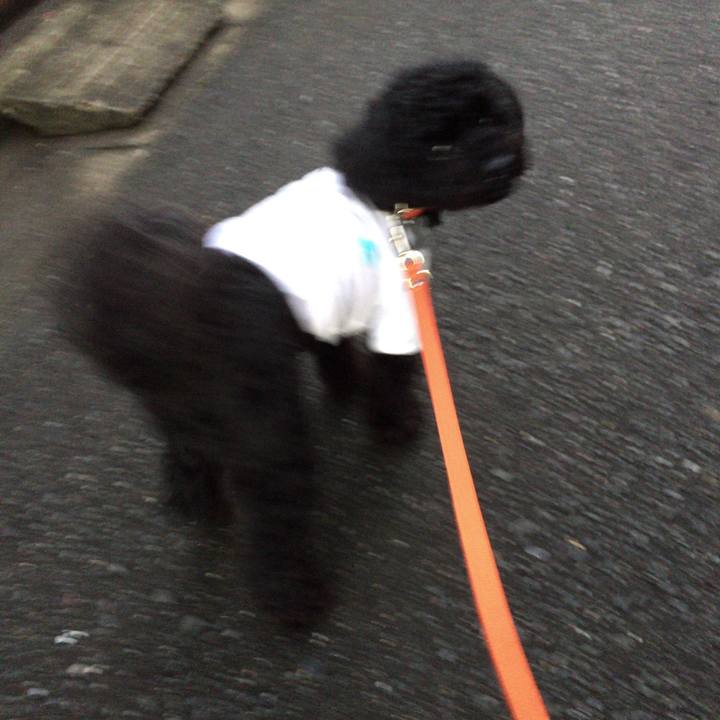 00724e99 5ff2 4933 86ad 2c89c99c0626