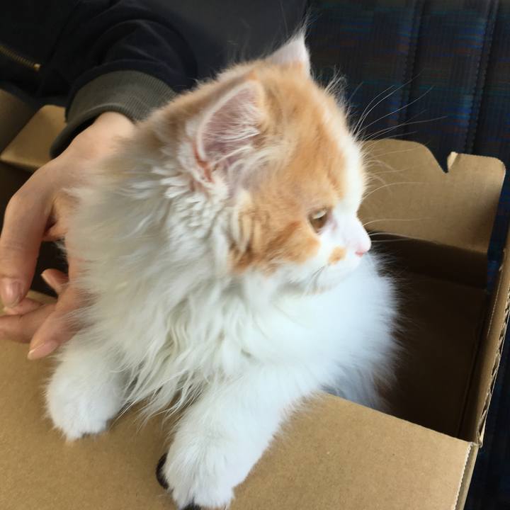 00729115 8806 46f4 8076 67037bd53d23