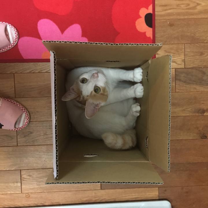 00737d65 9f32 417d a254 4df6be069f63